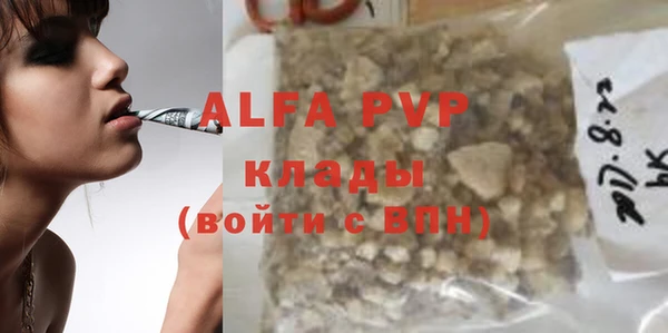 гашик Арсеньев
