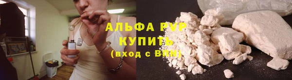 гашик Арсеньев
