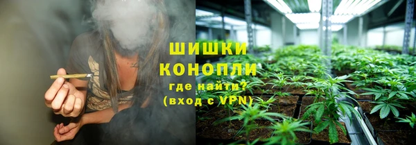 гашик Арсеньев